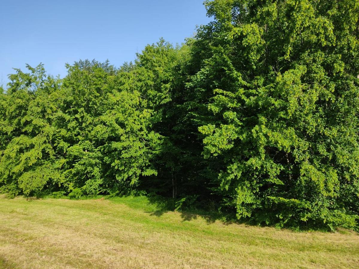 Apartmani Jana Bijelo Polje Luaran gambar