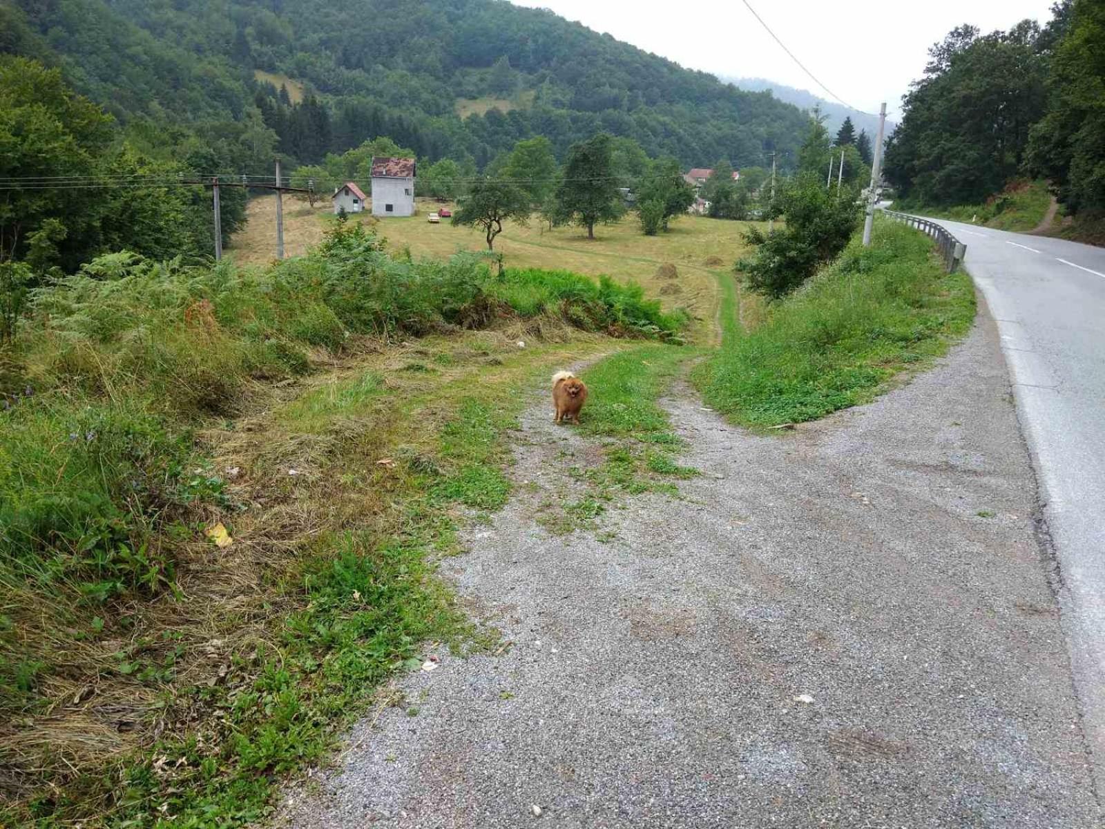 Apartmani Jana Bijelo Polje Luaran gambar