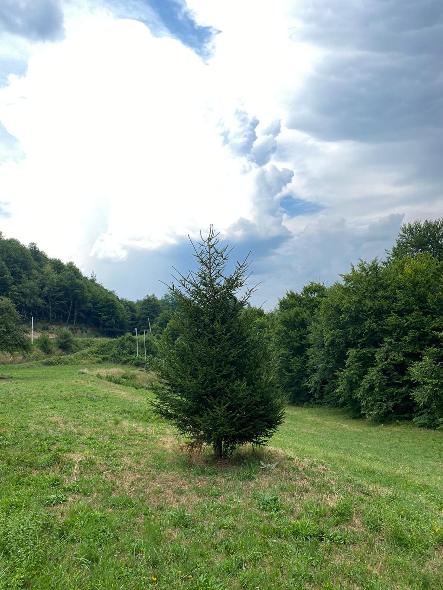Apartmani Jana Bijelo Polje Luaran gambar
